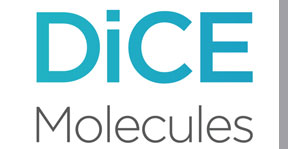 Cice Molecules