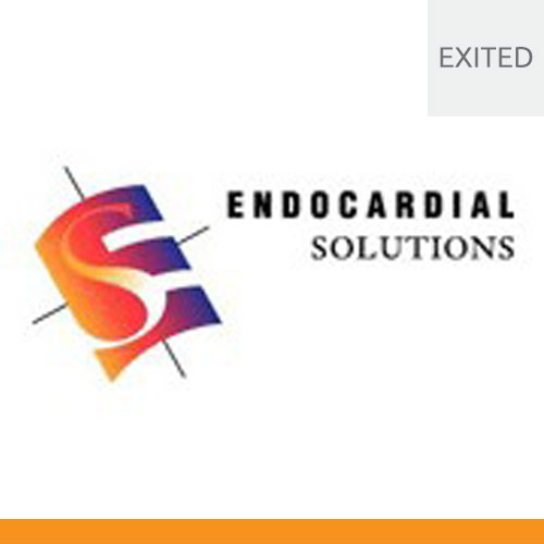 Endocardial Solutions