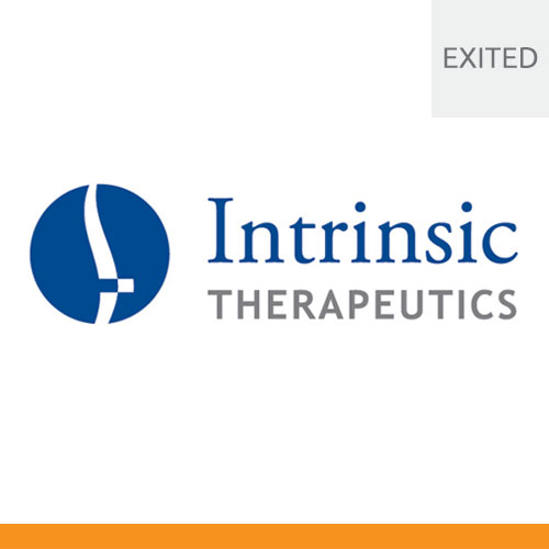 Intrinsic logo